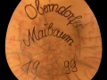 Oberdorfer_Maibamscheim_1999